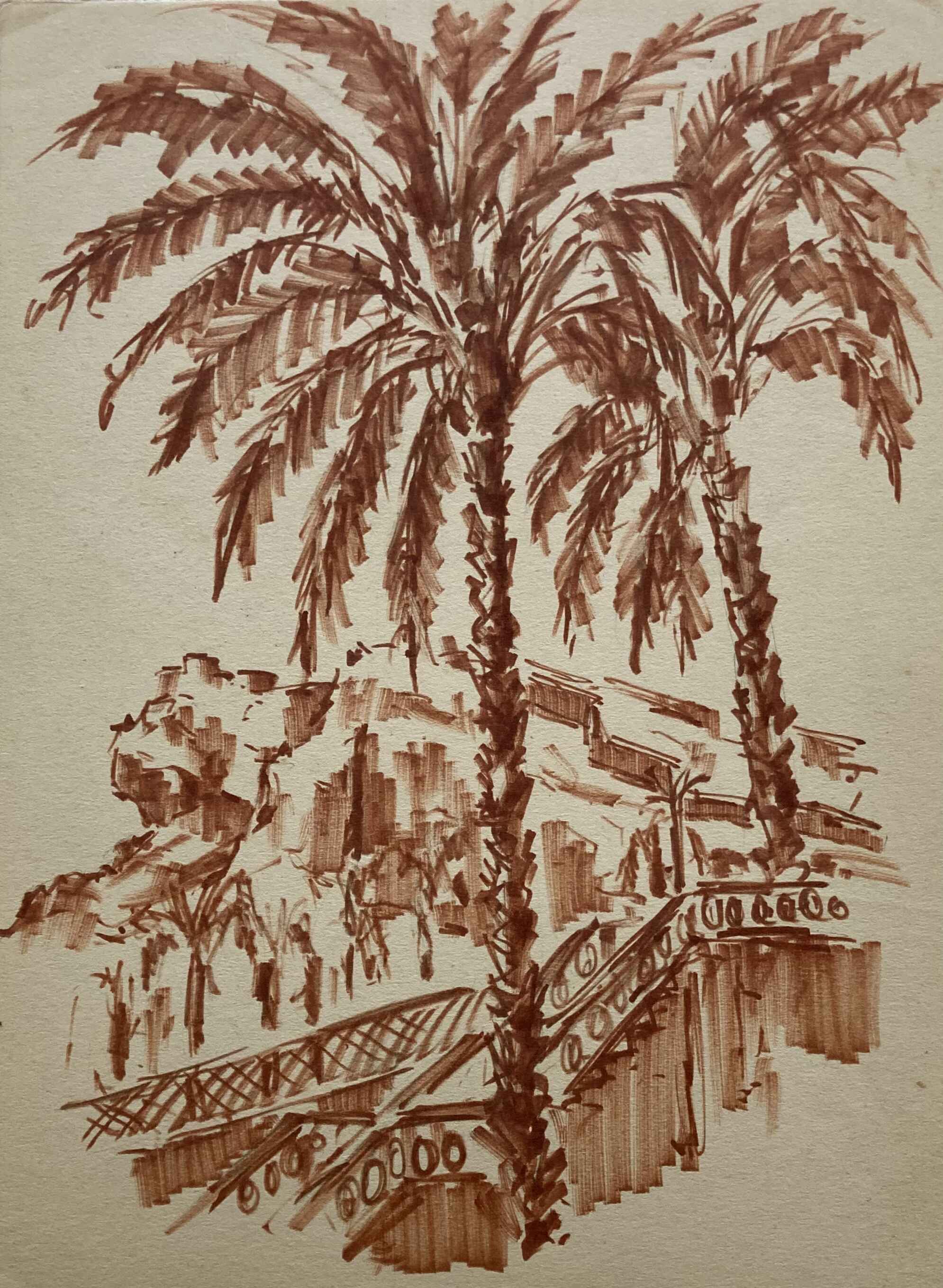 Palmeras en Canarias