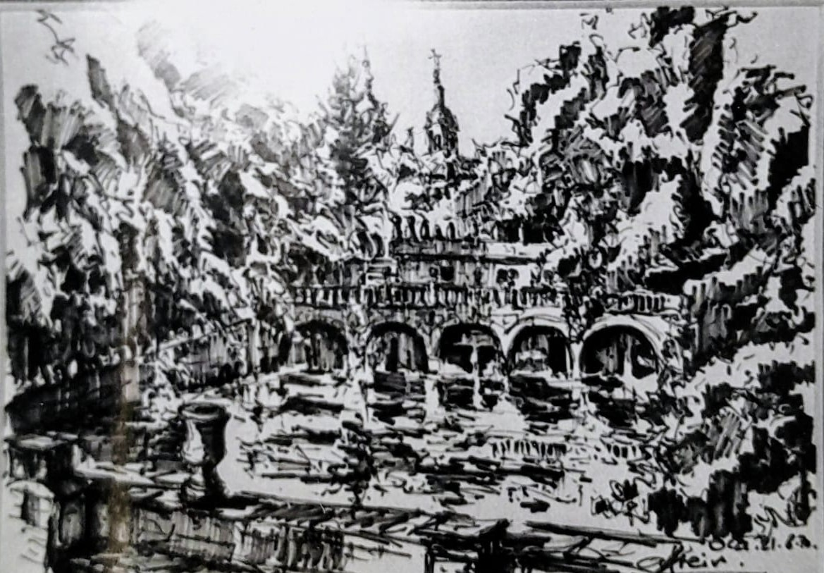 Reflejos en el estanque