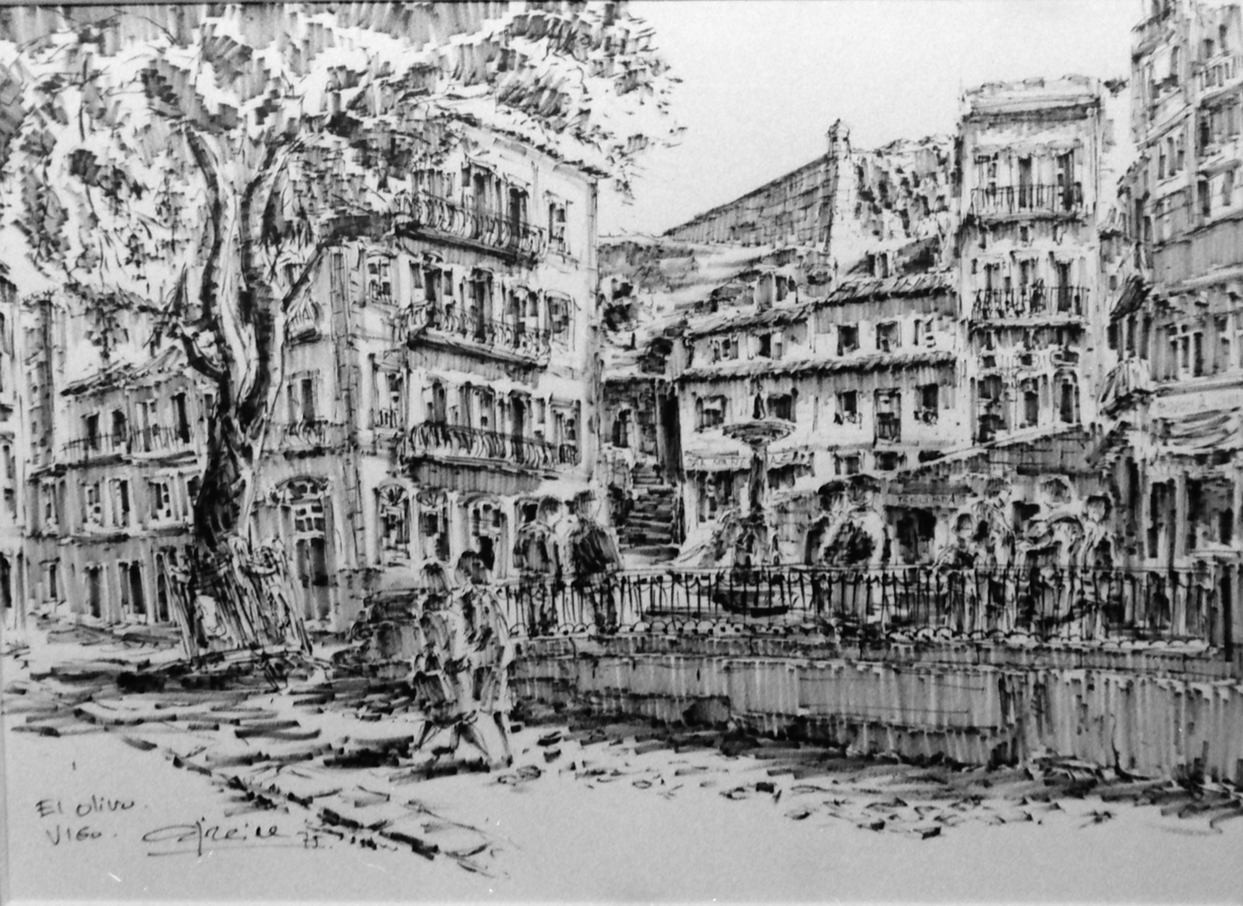 El Olivo 