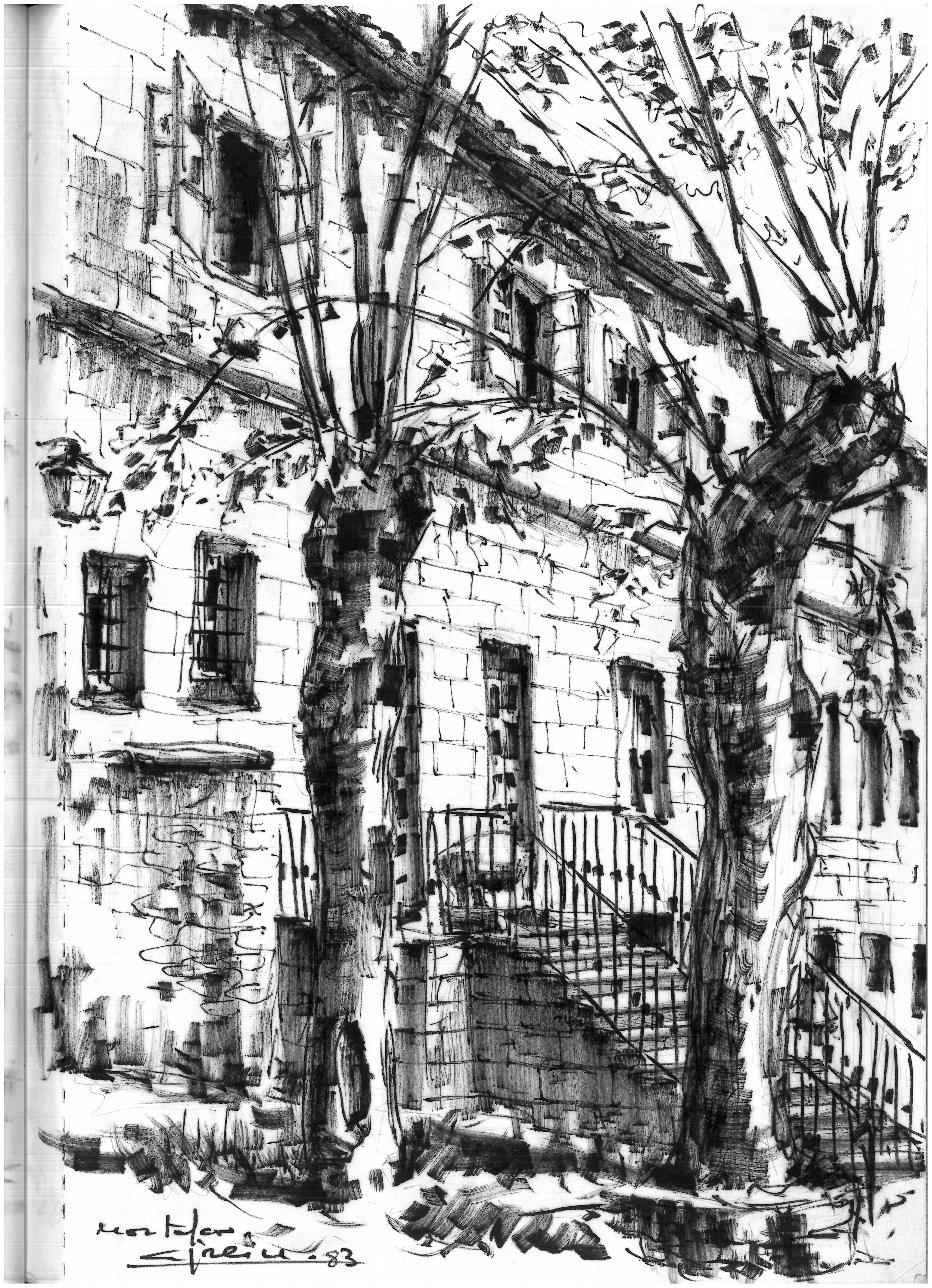 Escaleras de Montefaro. Árboles en primer plano