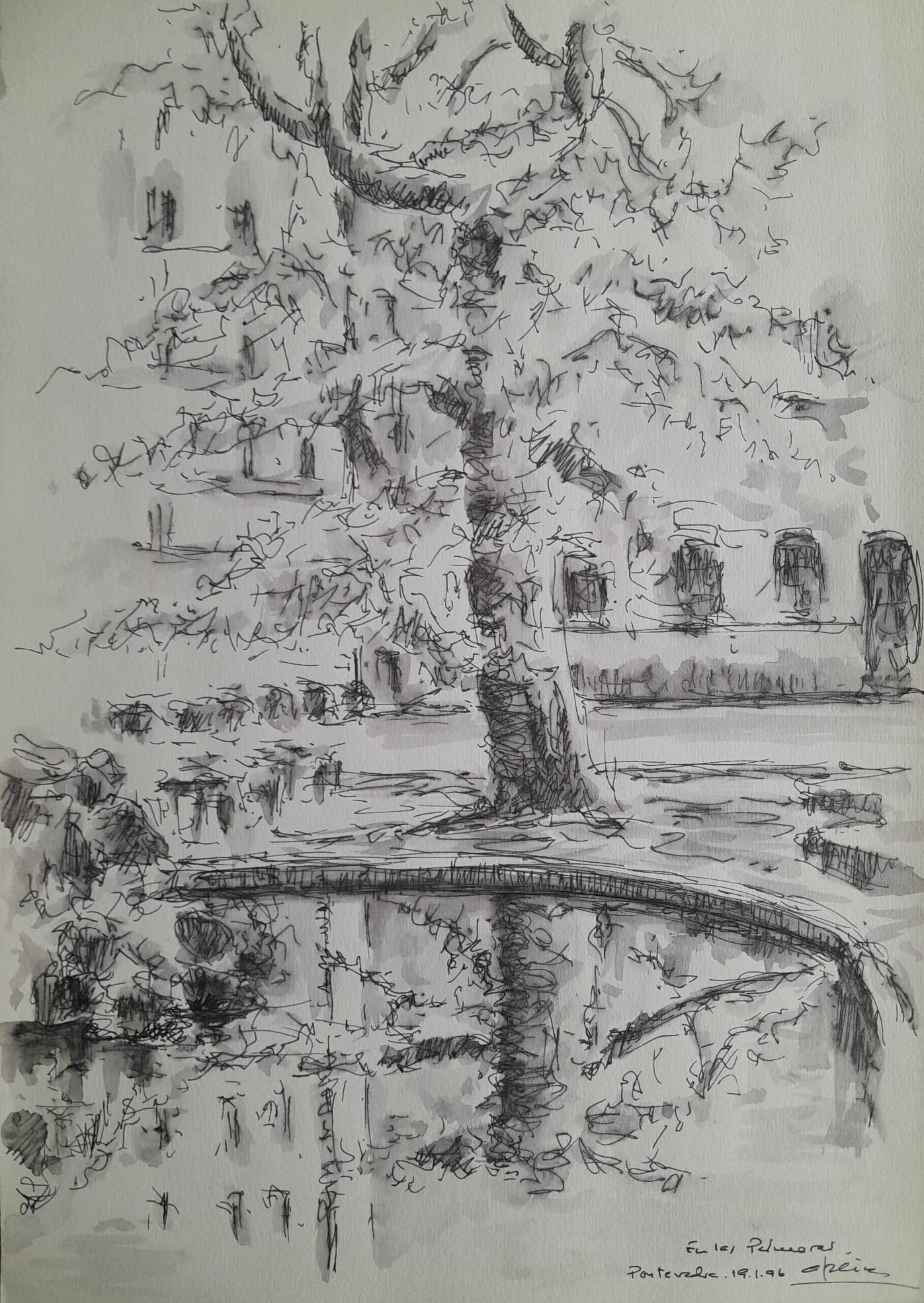 En las Palmeras 19.I.96 