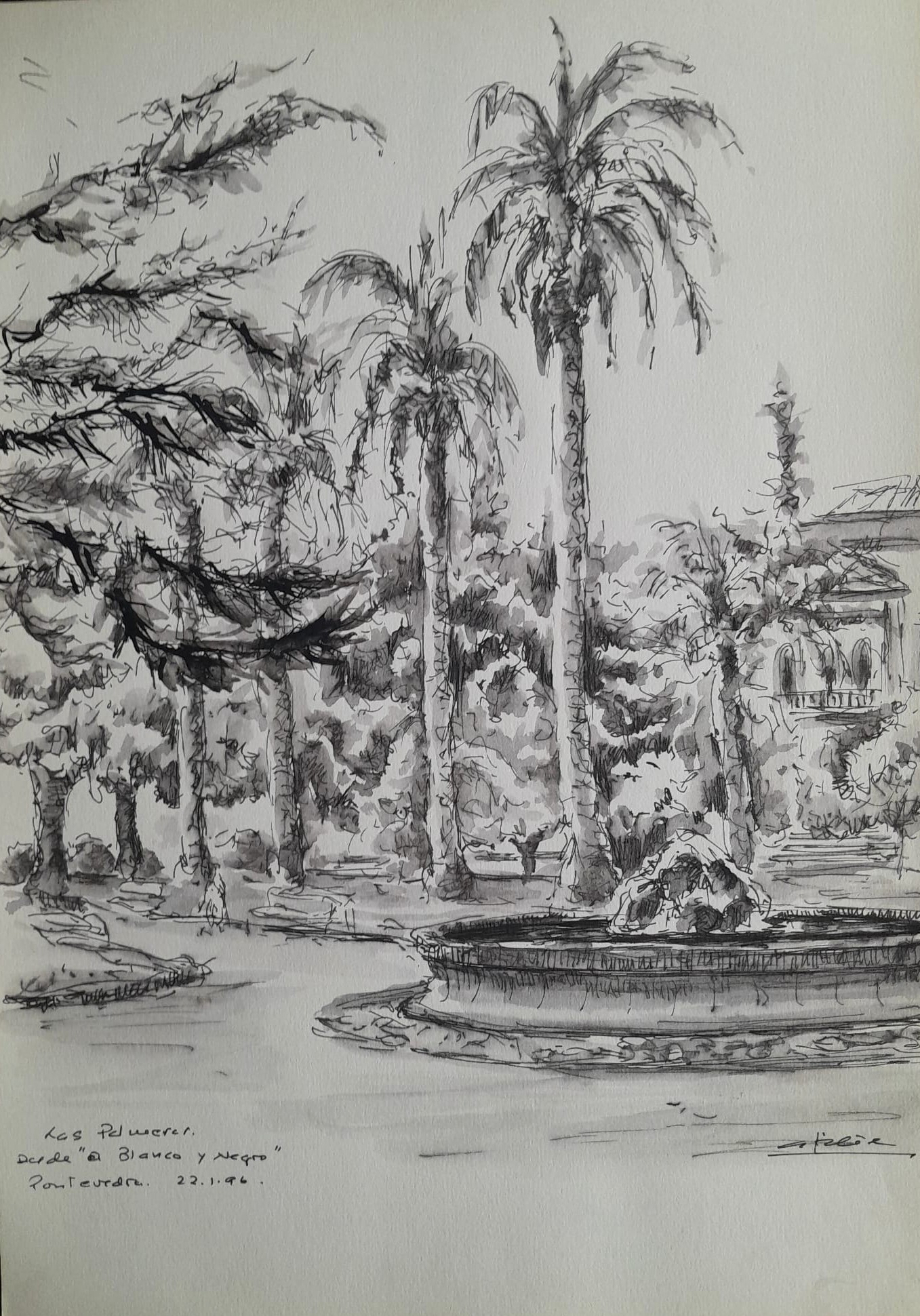 Las Palmeras desde el Blanco y Negro