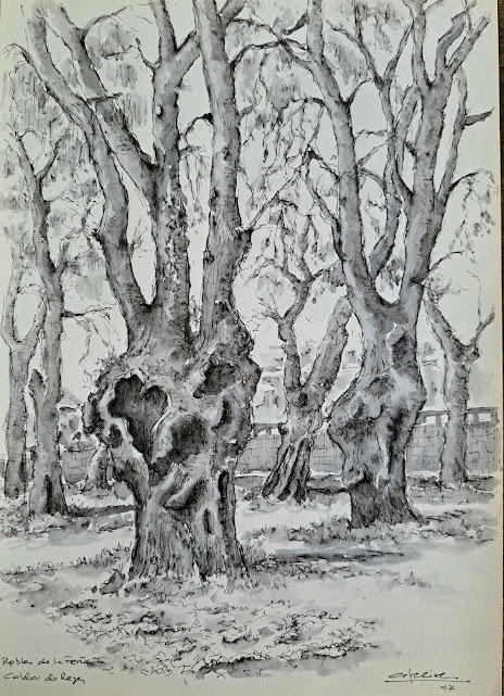 Robles de la Feria 3