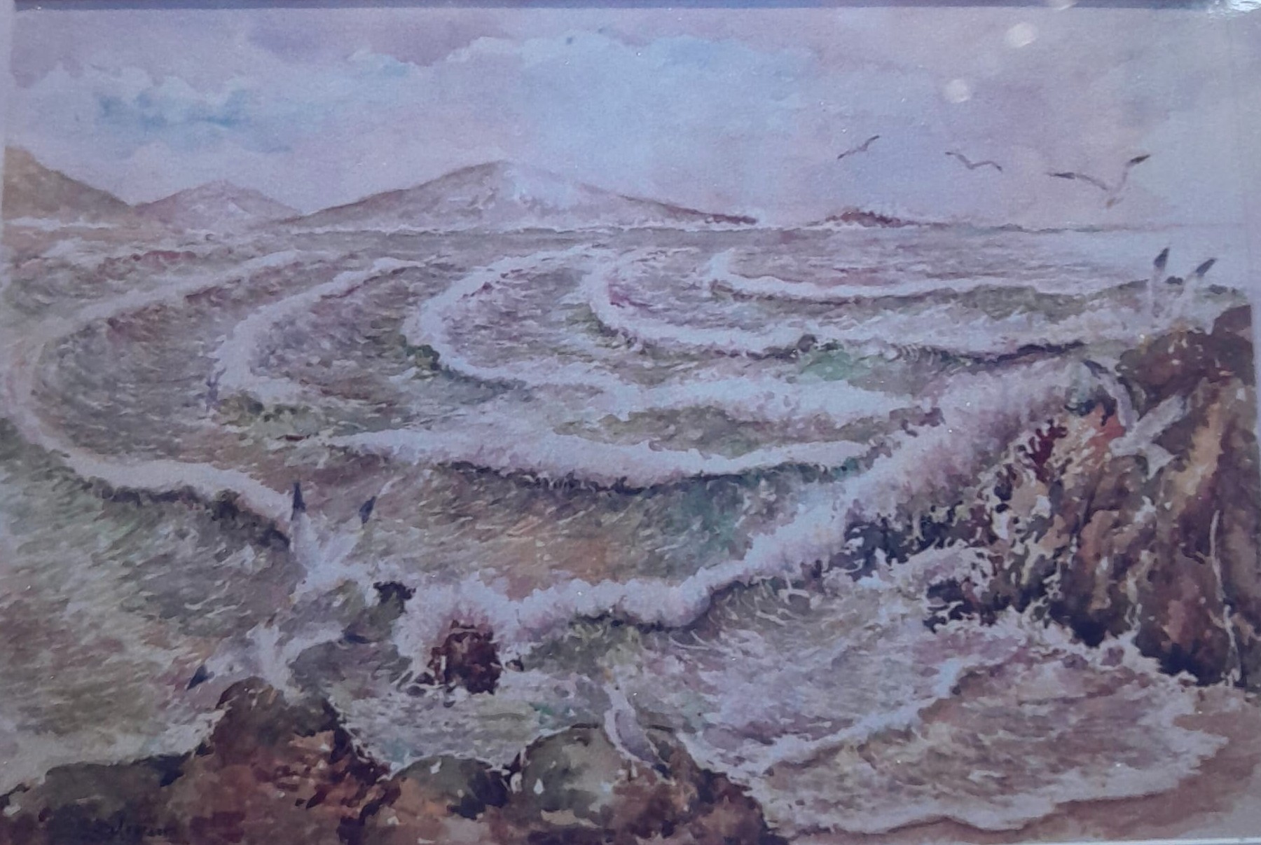 Gaviotas en el temporal de San Jorge