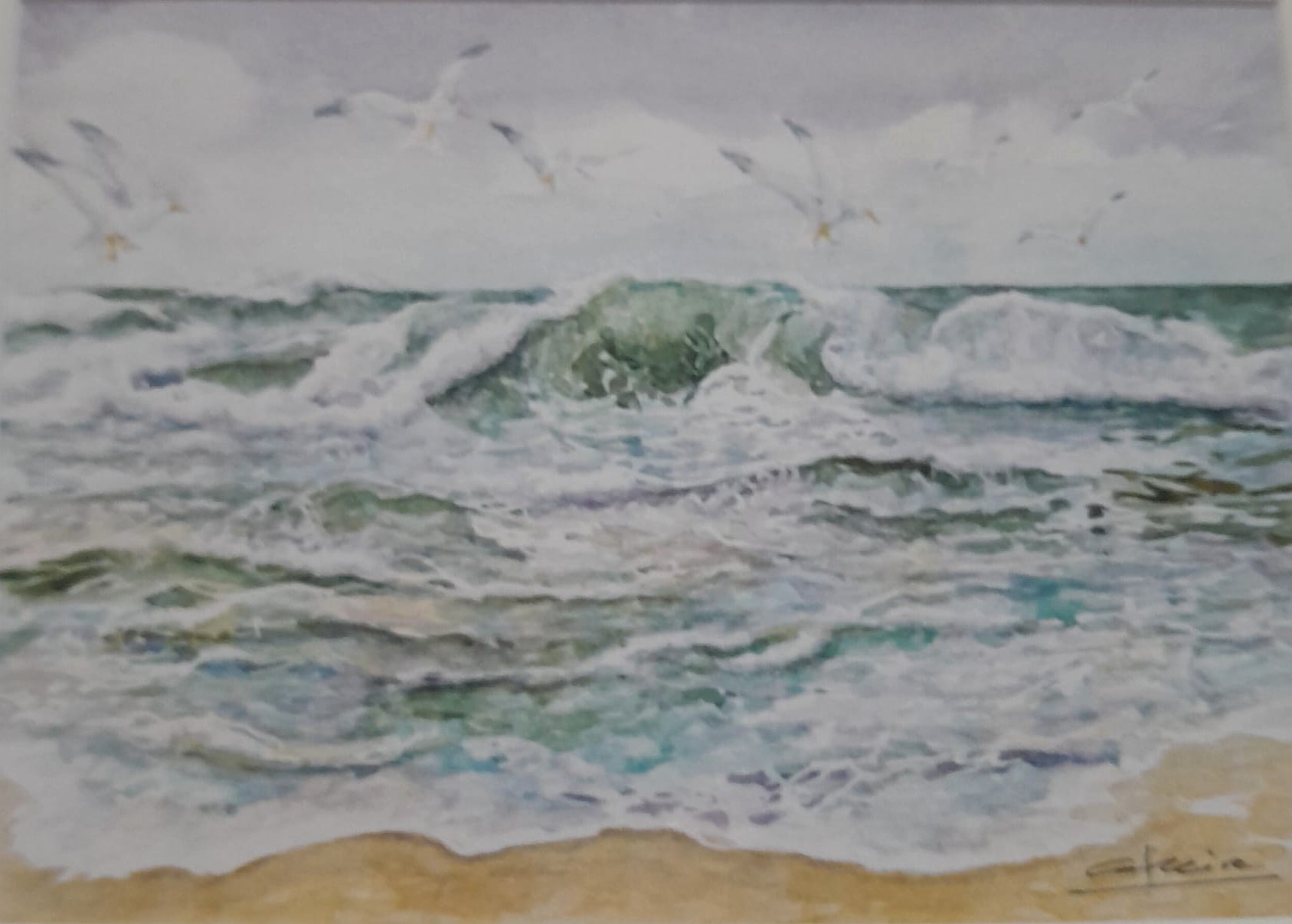 Gaviotas en El Orzán