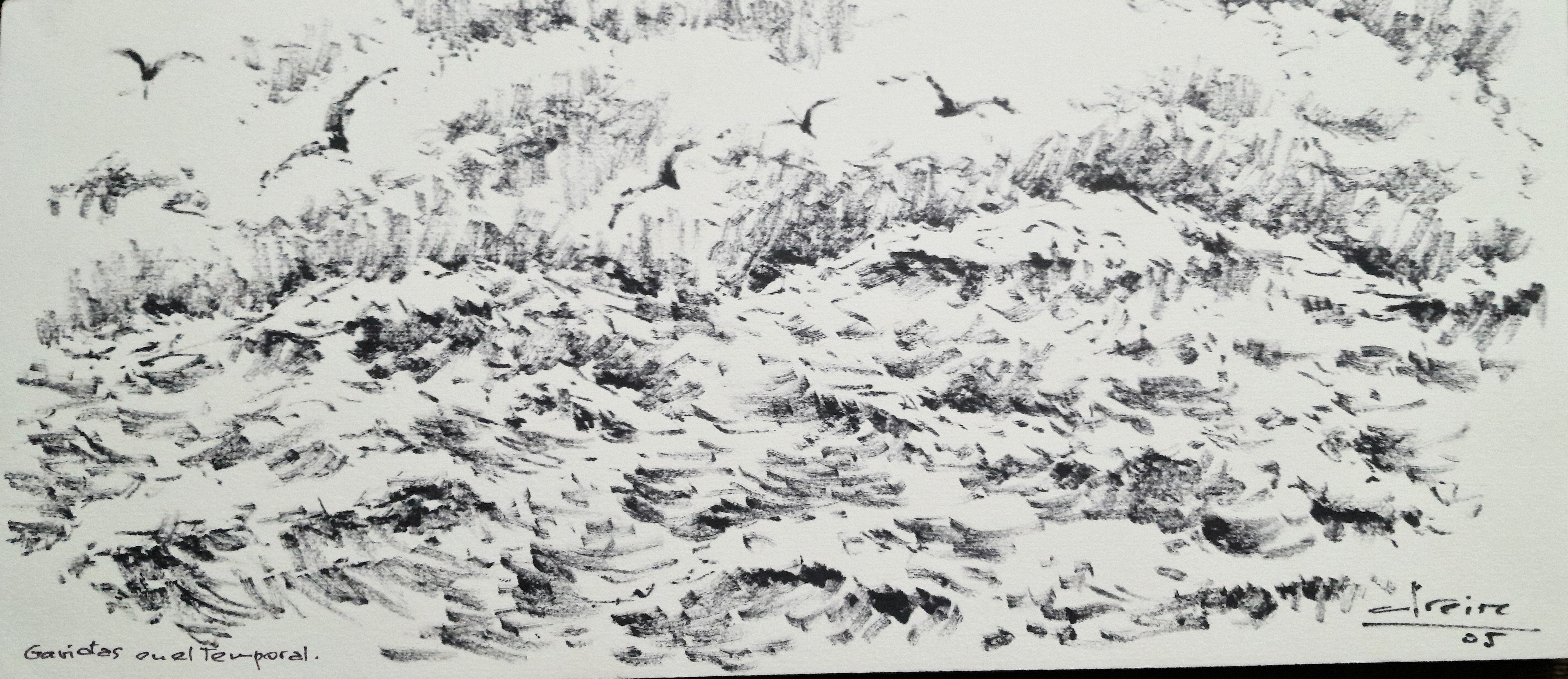 Gaviotas en el temporal