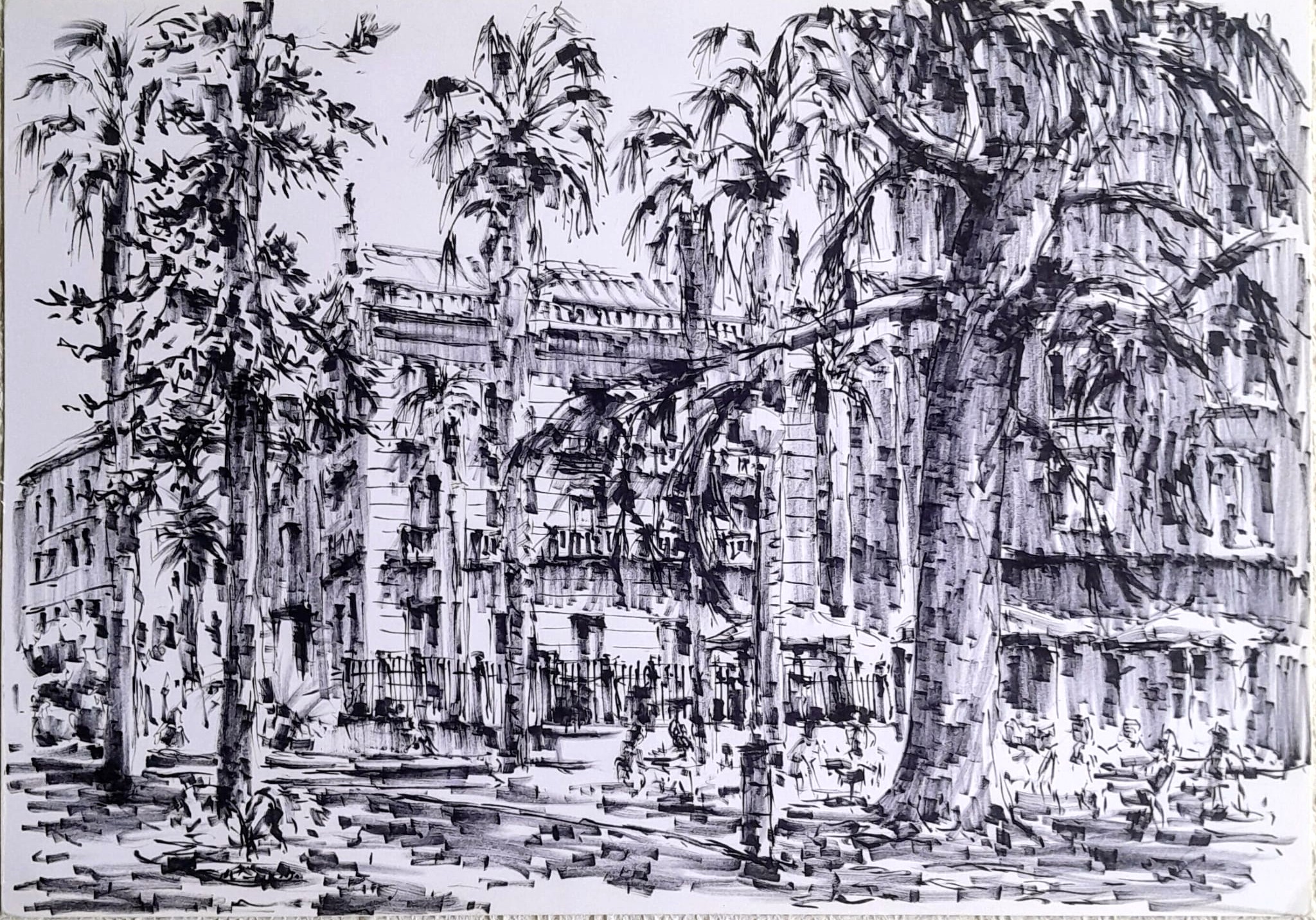 Árboles en el Blanco y Negro